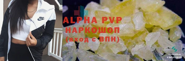 гашик Гусев
