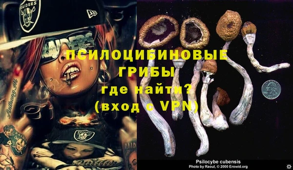СК Гусиноозёрск