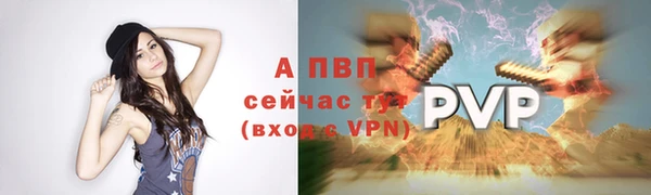 шишки Дмитриев