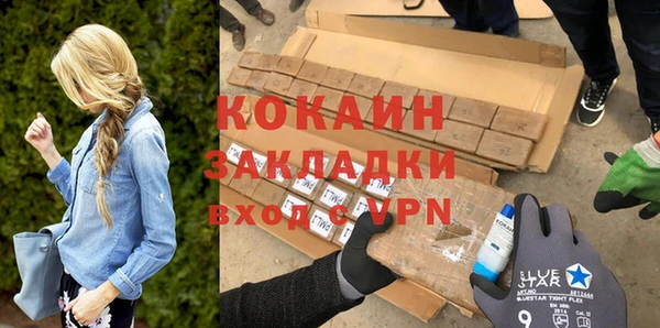 шишки Дмитриев