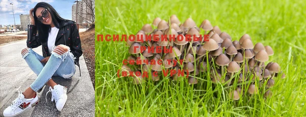 шишки Дмитриев