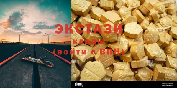 ешки Горняк