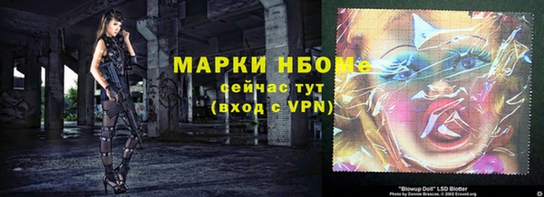 шишки Дмитриев