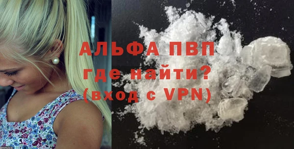 гашик Гусев