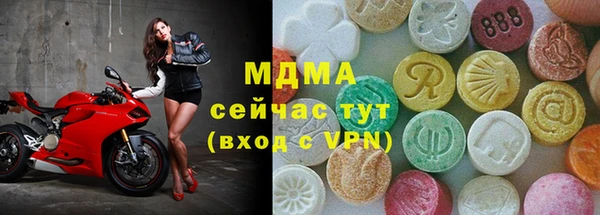 гашик Гусев