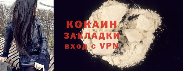 шишки Дмитриев