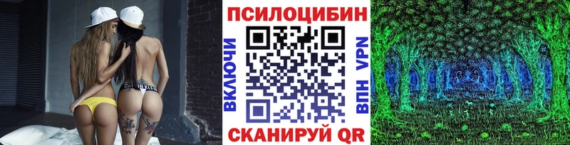 Купить где  Чебаркуль  Псилоцибиновые грибы ЛСД 